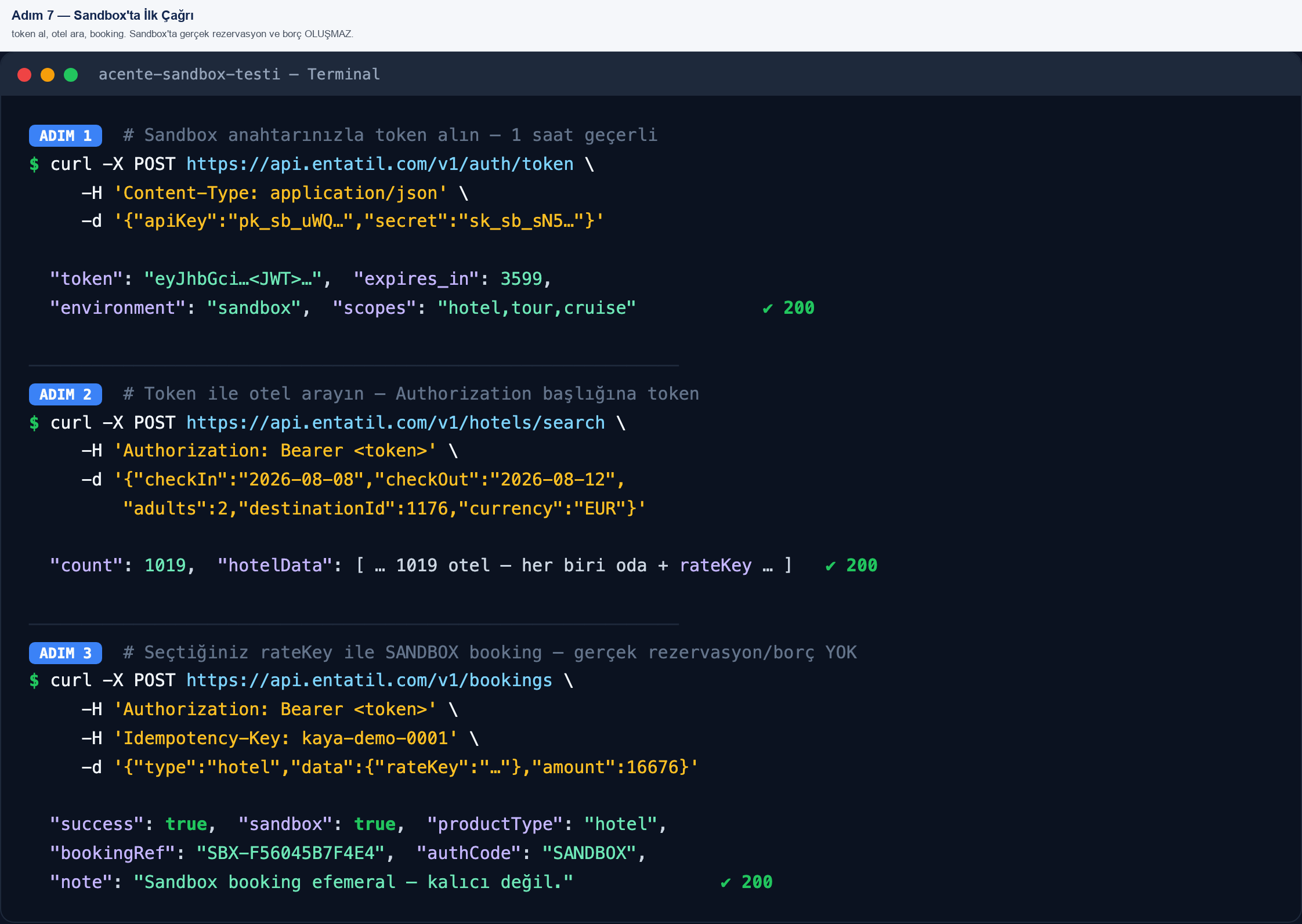 Sandbox API akışı